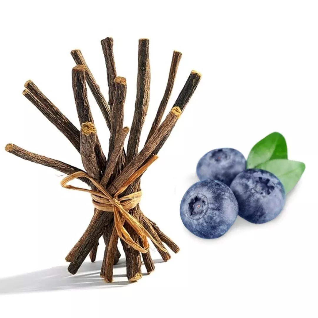 16oz. Sour Blueberry Licorice Root Chew Sticks for Humans. 100% Pure Natural | Oral Health & Fresh Breath | Individual Liquorice Chew Sticks are 6.5-7 inches Long—Glycyrrhiza Glabra from Turkey.