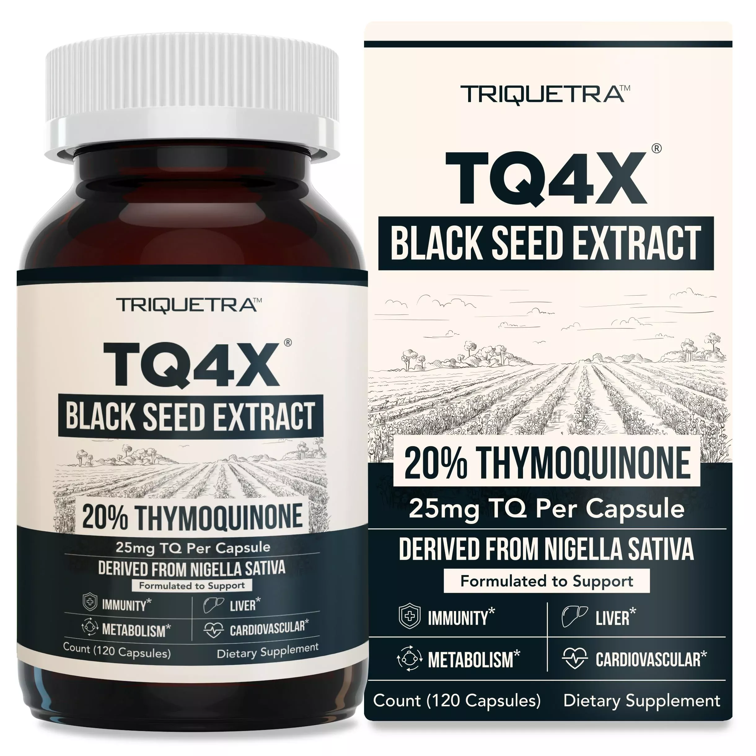 20% Thymoquinone Black Seed Oil Extract Capsules - TQ-Advanced 4X: Potent Thymoquinone Concentration Available - 60:1 Concentrate from Nigella Sativa, Raw Form, Vegan, Glass Bottle (60 Capsules)
